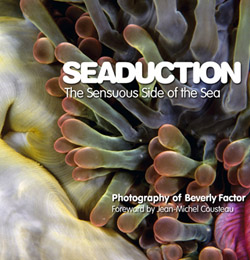 SEADUCTION